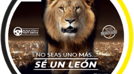 leon_optimized